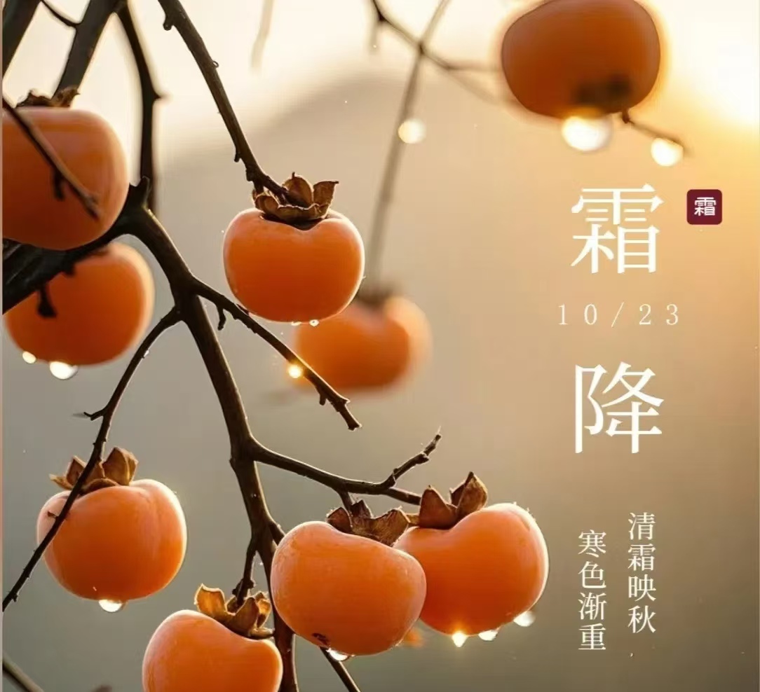 霜降||人間至此秋色盡，草木搖落露為霜